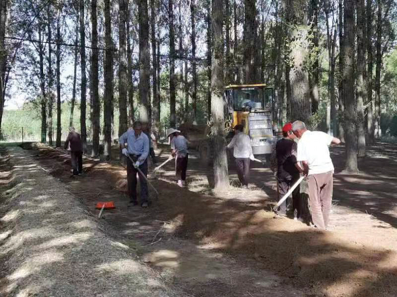 jn江南官方体育app喜看沙区绿千重 遍地英雄下夕烟 记全国著名防沙治沙英雄模范(图9)