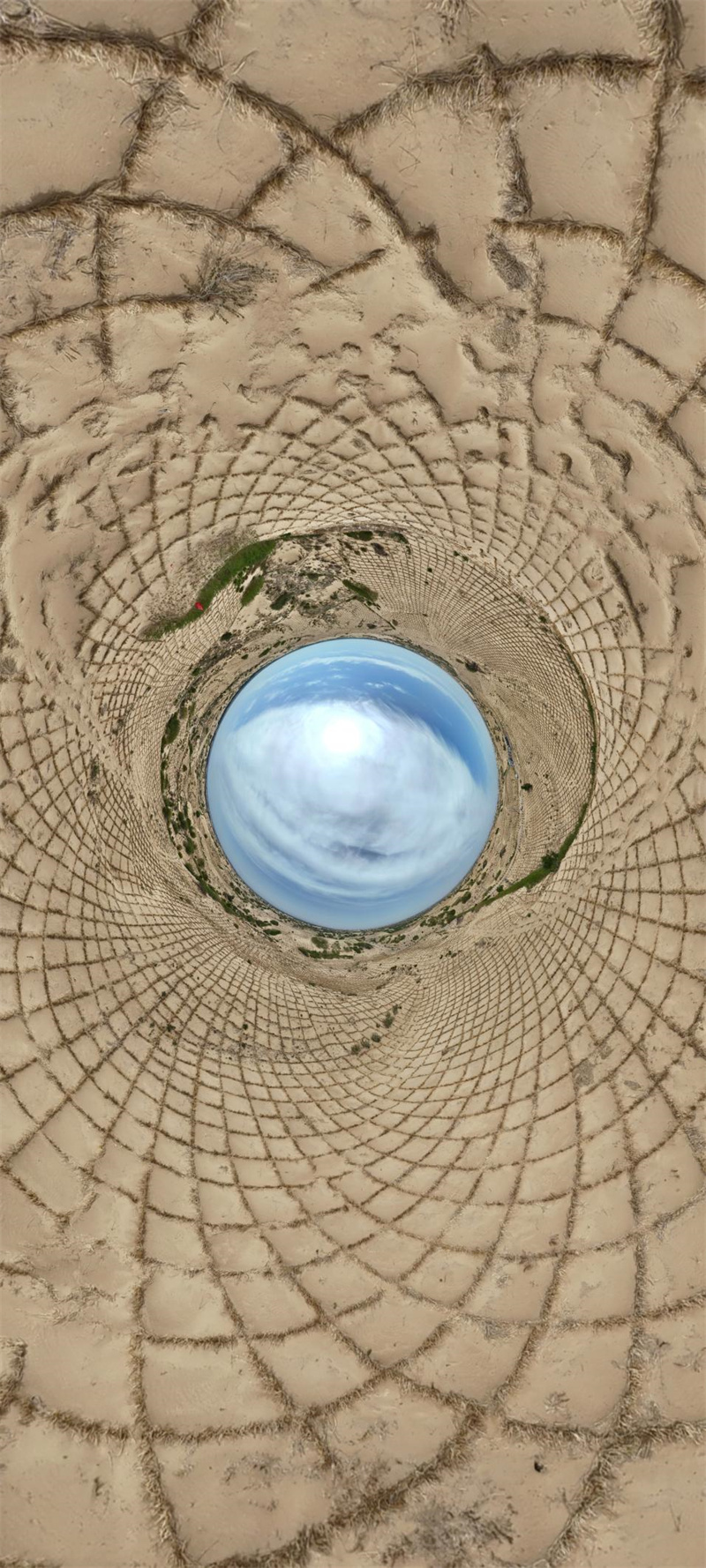 360°全景看"三北"之科尔沁沙地攻坚战